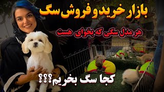 بازار خرید و فروش سگ کجاست ؟؟؟ میخوام سگ بخرم