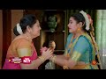 mr.manaivi highlights 20 nov 2024 tamil serial sun tv