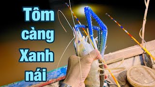 Thương Vlog Câu Tôm Càng Xanh Tụ Cầu Rạch Miễu Lâu Ngày Không Câu @Xuanthuong91