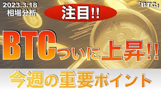 【BTC】ビットコインついに上昇‼︎今週の重要ポイント（2023年3月18日 相場分析）