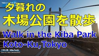 夕暮れの木場公園を散歩。東京都江東区にある大きな公園です。【Walk in the Kiba Park】Koto-ku,Tokyo.Tokyo Metro Tozai Line.