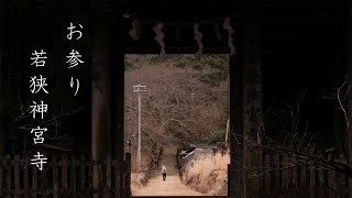 若狭神宮寺 お参り (福井県小浜市) | 2020 若狭・篠山ぶらり旅 #03【旅日記vol.038】