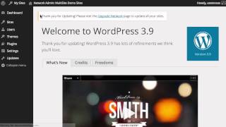 WordPress MultiSite: Updating WordPress on a MultiSite Network