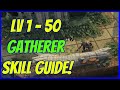 Level 1 - 50 gatherer levelling skill guide brighter shores