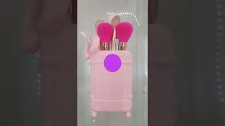 Pink Luggage Vanity \u0026 Home Decor Makeup Organizer and Brush Holder