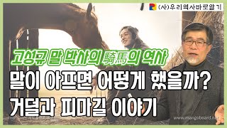 고성규 말 박사의 騎馬의 역사 | 말이 아프면 어떻게 했을까? \u0026 거덜과 피마길 이야기