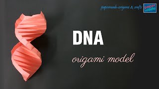 DNA Structure model using paper | REMAKE | Easy | PaperMade