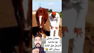 حصان يصلي مع صاحبه سبحان الله #shorts