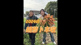 #农村 #丰收的季节 #爷爷奶奶 #助农