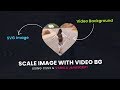 SVG Image Transform on Scroll Using CSS3 & Vanilla Javascript | Video Background