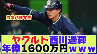 ヤクルト西川遥輝年俸1600万円ｗｗｗ【なんJ野球まとめ】