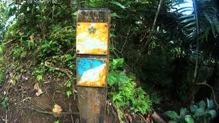 A la découverte du sentier Le Prêcheur - Grand'Rivière (Martinique)