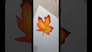🍁 Maple Leaf coloring #art #drawing #maple #shorts #youtubeshorts