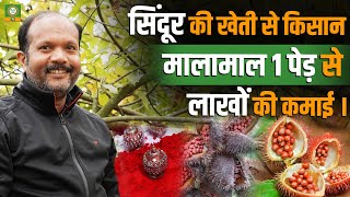 सिंदूर की खेती से बना करोड़पति! जानिए कैसे | #sindoorkikheti