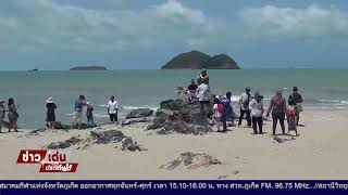 ม้าคาวบอยชายหาดสมิหลาสงขลาช่วงหน้าร้อน สร้างรายได้ดี