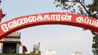 Velaikkaran Set Tour Live