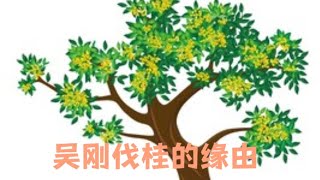 吴刚伐桂的缘由#民间故事#民间传说#睡前小故事