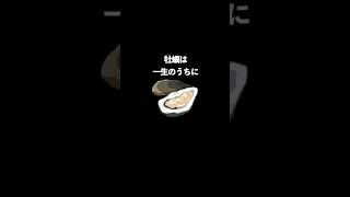 知ってる？牡蠣に関する豆知識#shorts #アフレコ #雑学