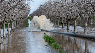 Trump executive order could divide control of CA's water system, putting distribution at risk