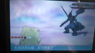 ポケットモンスターアルファサファイア　色違いゼクロム捕獲なるか！？