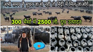 48.75 लाख का दूध महीने में बेंचते हैं - खून खौल जायेगा 😡 बातें सुनकर dairy farmer ध्यान दें ... 🙏