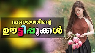 പ്രണയത്തിന്റെ ഊട്ടിപ്പൂക്കൾ…