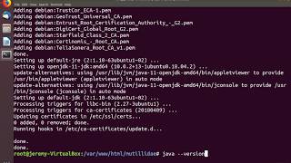 Linux Basics: Install Java on Linux