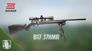 Mike Robinson reviews the Savage B17 Rifle  in .17HMR