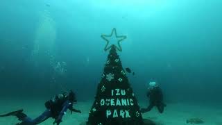 クリスマスは海だ！伊豆海洋公園デイトリップツアー