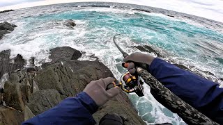 離島対馬の磯で真冬のヒラスズキを狙ってみました