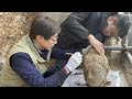 Relics tumble out of wall at Longmen Grottoes