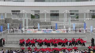 【公式】東京理科大学Yosakoiソーラン部　ハマこい2018　パシフィコ横浜プラザ広場