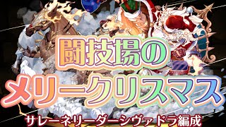 【闘技場メリークリスマス】クリスマスサレーネリーダーシヴァドラ編成、ほぼずらすだけ【パズドラ】