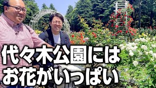 【代々木公園にはお花がいっぱい】※ラスト圧巻の映像美あり #ママタルト