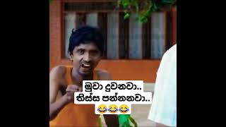 මුවා දුවනවා..තිස්ස පන්නනවා..😂#foryou #virul #trending