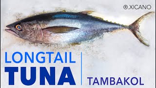 LONGTAIL TUNA || How to clean, fillet and serve fresh tuna salad