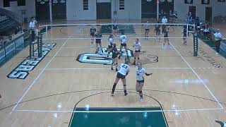 Carina Hoff vs stetson