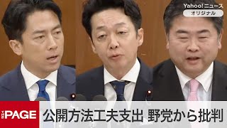 特別委で政治改革法案を審議　自民党案「公開方法工夫支出」に立憲らから批判（2024年12月12日）