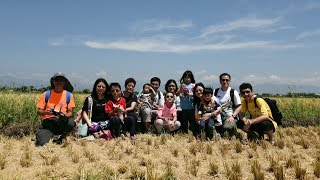 台灣宜蘭親子五天遊2018