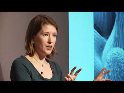 The secret language of flowers | Heather Whitney | TEDxSalford The secret language of flowers | Heather Whitney | TEDxSalford