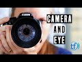 How the Eyes Work Like a Camera - Eye Doctor Explains!!