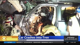 Driver suffers major injuries after crashing into tree near 91 Freeway