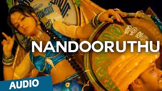 Nandooruthu Official Full Song (Audio) | Nedunchalai