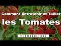 🍅 Comment Entretenir et Tailler  des tomates Facilement ? 🍅