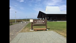 ＃ワッカ原生花園 2017年9月北海道旅行。留辺蘂うまれ