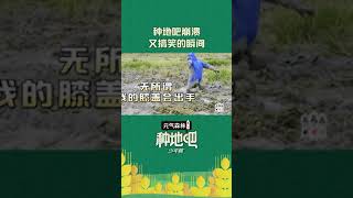 承包笑点的一天：#蒋敦豪 被抽水泵喷一脸、#陈少熙 狗刨式开沟、#鹭卓 无效C1驾照 .....| #种地吧 #BecomeAFarmer | iQIYI综艺