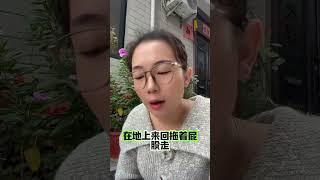 几乎所有人不知道白糖居然可以救狗命 养狗经验分享 科学养宠攻略 狗狗