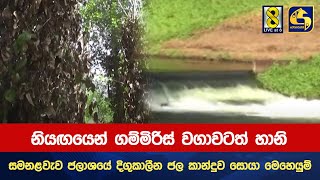 නියඟයෙන් ගම්මිරිස් වගාවටත් හානි-සමනළවැව ජලාශයේ දිගුකාලීන ජල කාන්දුව සොයා මෙහෙයුම්-