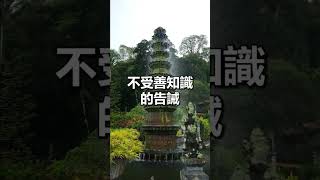 宣化上人 - 因果懺悔 6