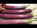 how to tell when eggplants are ready for picking